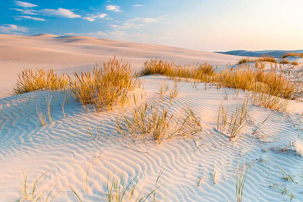 istock beautiful view of the coastal dunes 537477958