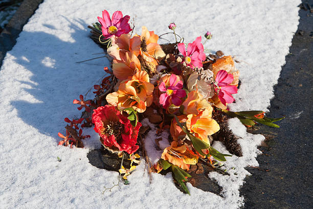 istock Transience of life 537484789