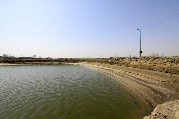 istock pond scenery in the rural areas 537484839