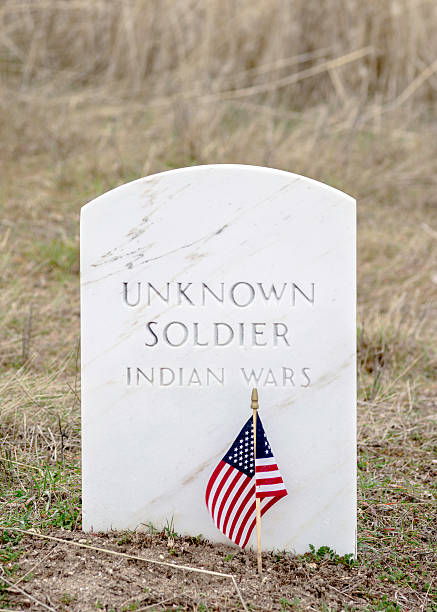istock flags flap in the wind at a military cemetery 537486801