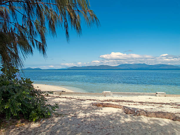 Beach of the dream