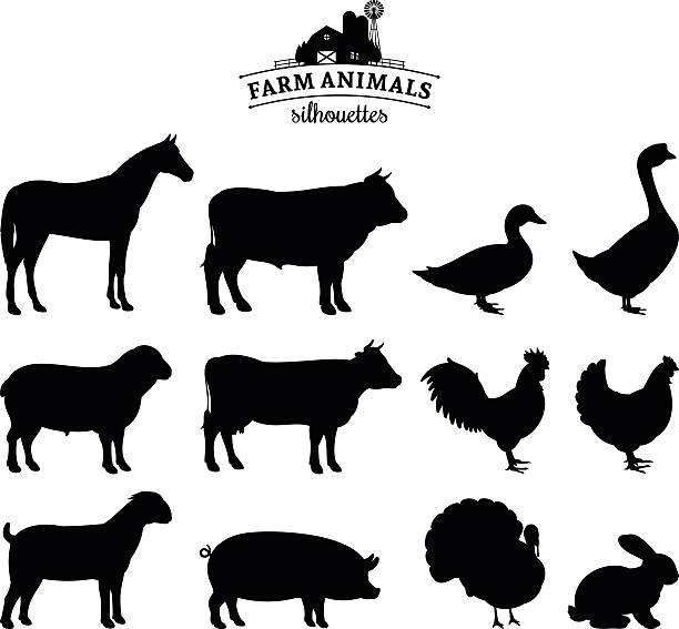 vector farm animals silhouettes isolated on white - ördek su kuşu stock illustrations