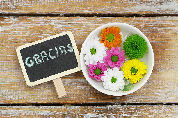 istock Gracias (which means thank you in Spanish) blackboard, colorful flowers 537489463