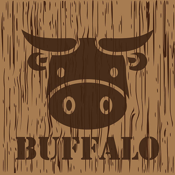 Buffolo Brother Sign 130+ How To Draw A Buffalo Head Cartoons Stock Photos, Pictures ...