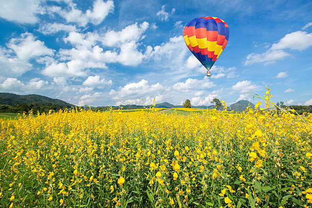 istock Hot air balloon over yellow flower fields against blue sky 537490411