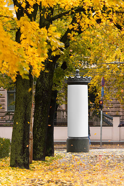 Blank advertising space under the trees in autumn An advertising pillar on the street in the city under the autumn trees advertising column stock pictures, royalty-free photos & images