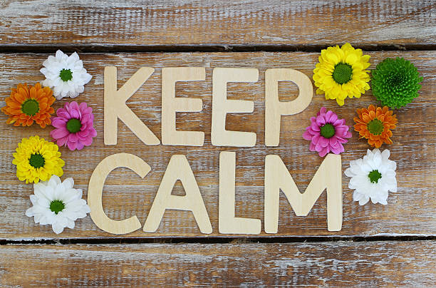 istock Keep calm written with wooden letters and Santini flowers 537491401