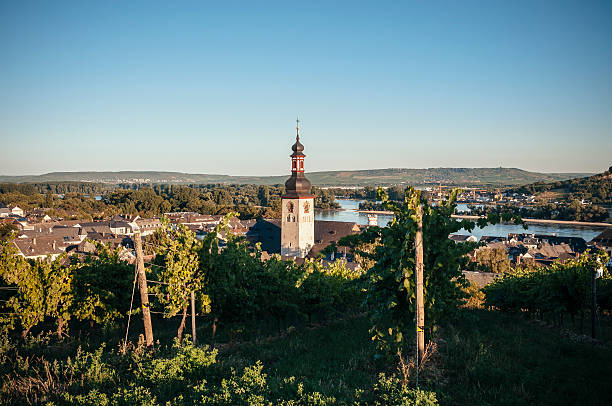 istock Rudesheim with vineyards and the Rhine 537497559
