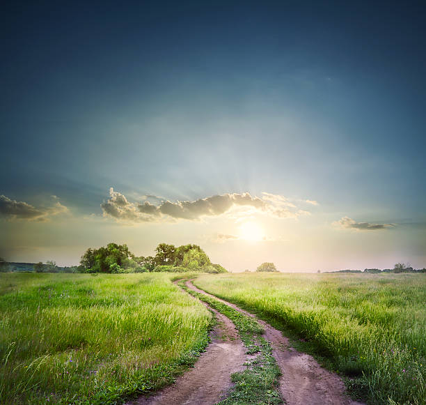 istock Rural road in field with green grass 537497757