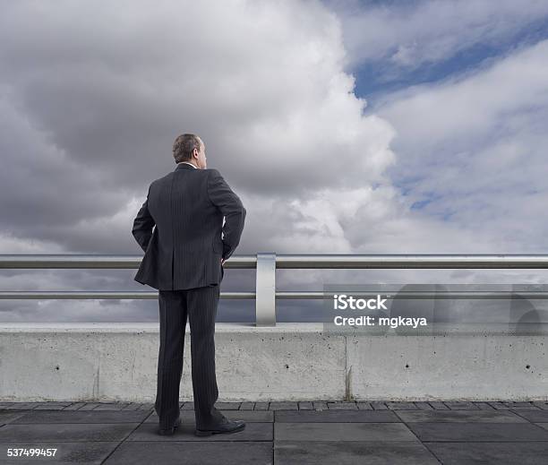 Businessman On The Bridge Stock Photo - Download Image Now - 2015, Adult, Bannister
