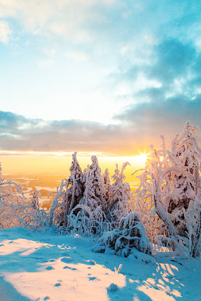 istock Snowy winter landscape in sunset 537500357