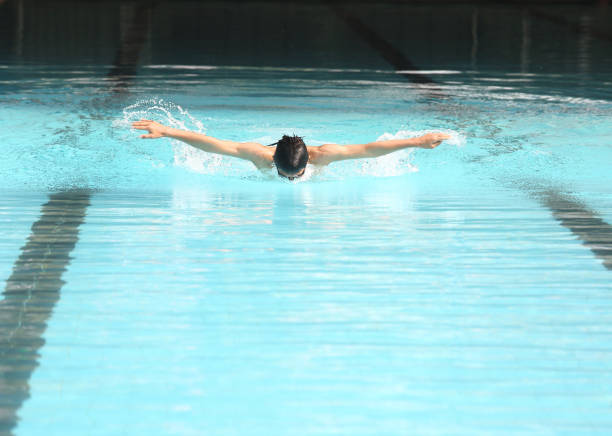 istock Butterfly stroke  swimming sport practice for competition 537500767