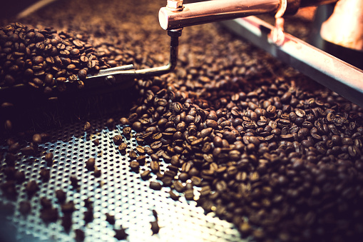 The process of roasting a batch of high quality single origin coffee beans in a large industrial roaster; the toasted beans are in the cooling cycle.  Horizontal image with copy space.