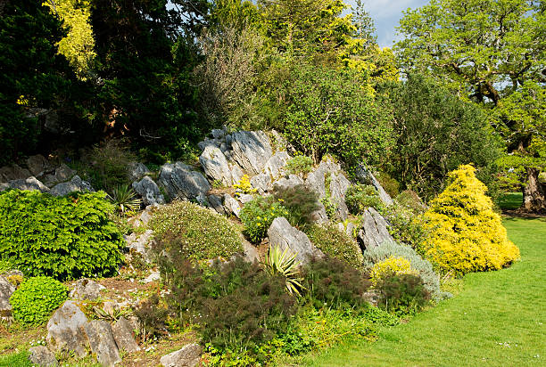 istock Rockery park in Ireland 537505696