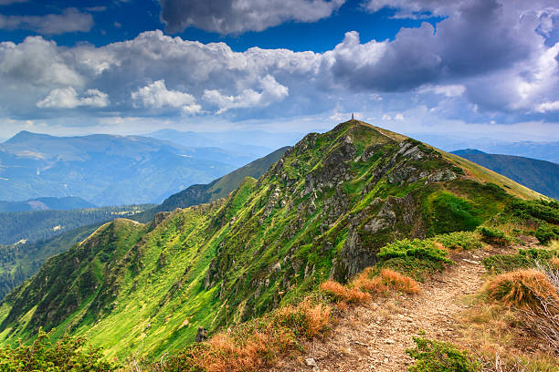 istock Beautiful summer landscape in the mountains. 537506530