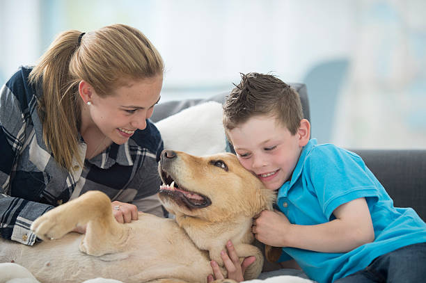 istock Family Playing with Their Dog 537508184