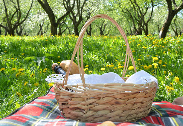 istock Picnic. Basket of bread, baguette on blankets. Green grass. Spring. 537509128