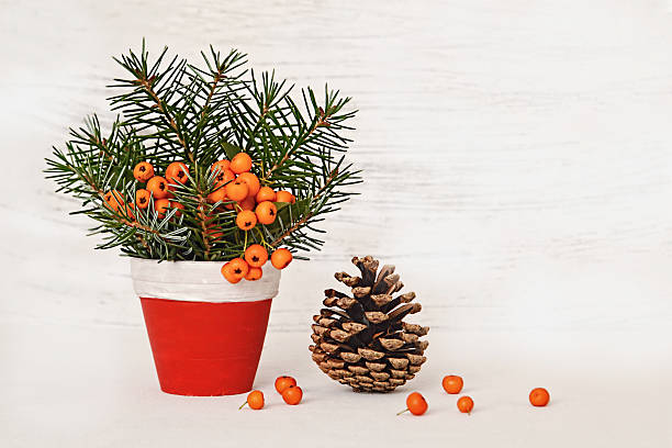 istock Natural Christmas arrangement in clay pot 537509448