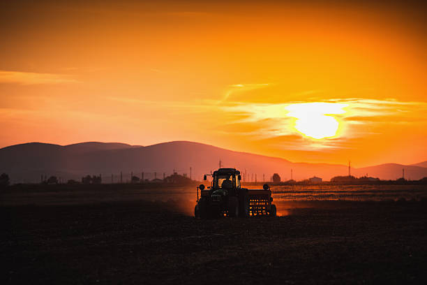 istock Beautiful sunset, farmer in tractor preparing land with seedbed 537510322