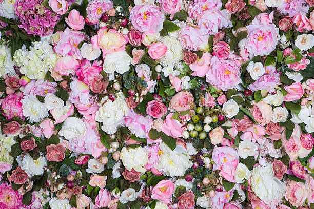 istock Closeup image of beautiful flowers wall background 537512372