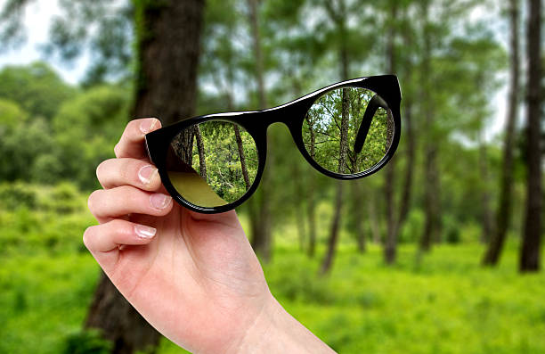 istock woman hand with magnifying glasses 537512748