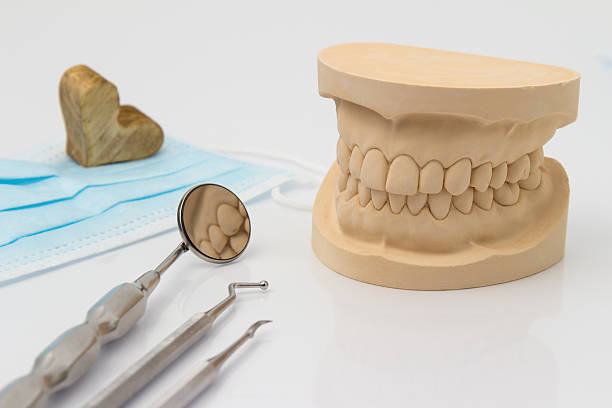 istock Dental mold with tools and a face mask 537513459