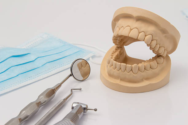 istock Open dental mold of teeth with implements 537513483
