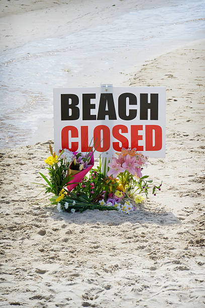 istock 'Beach closed' sign with memorial flowers indicating a death 537513543