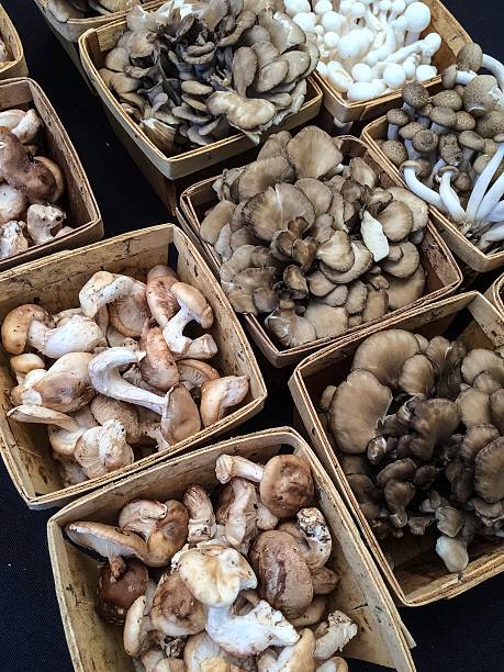 Exotic Edible Mushrooms