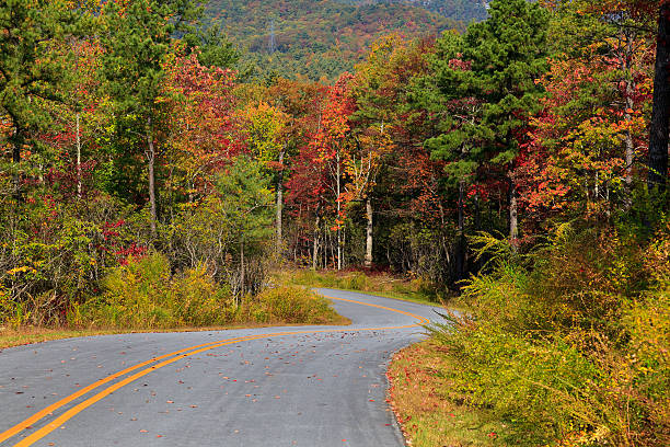 Curve in the Road Gorges State Park Road in North Carolina during the fall north carolina us state stock pictures, royalty-free photos & images