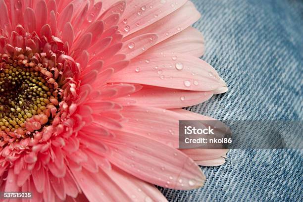 Pink Gerbera Stock Photo - Download Image Now - 2015, Beauty, Beauty In Nature