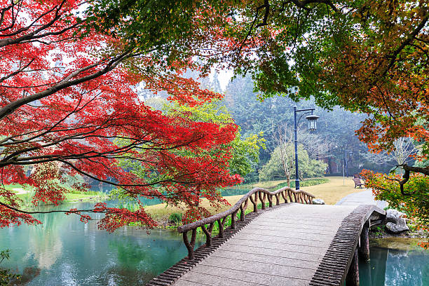 istock beautiful park in autumn 537515297