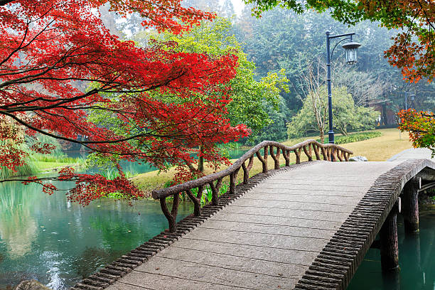 istock beautiful park in autumn 537515489