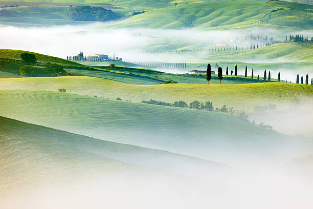 paysage de la toscane dans le brouillard du matin - tuscan cypress photos et images de collection