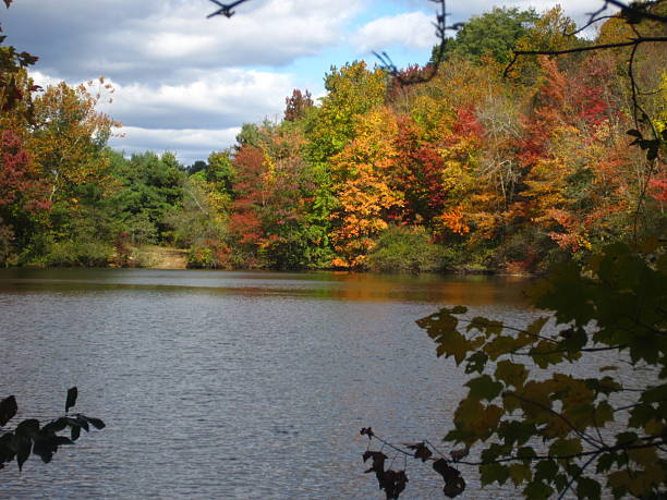 istock Autumn Foliage by a Lake 537517294