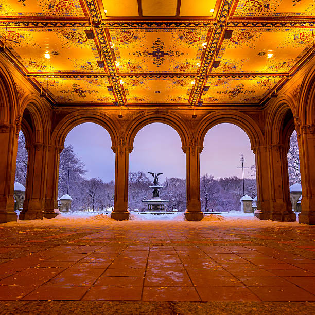 fuente bethesda en central park ciudad de nueva york, después de una tormenta de nieve - nemo museum fotografías e imágenes de stock