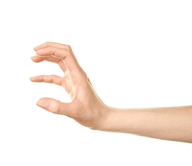 istock Female caucasian hand gesture isolated 537518482