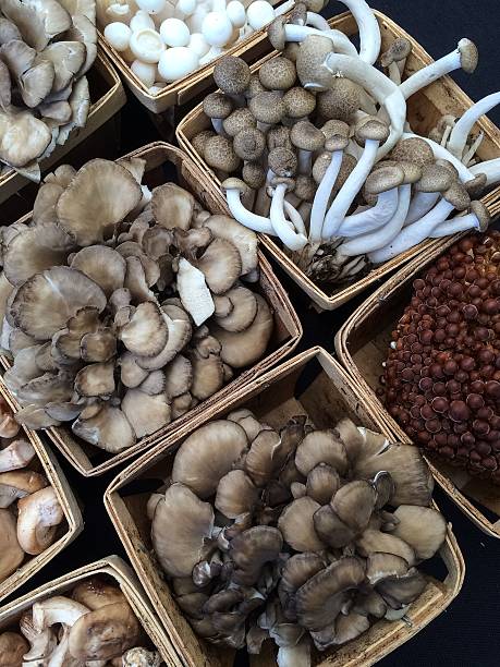 Exotic Edible Mushrooms