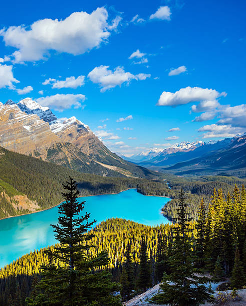 istock The lake in the form of a wolf's head 537520240