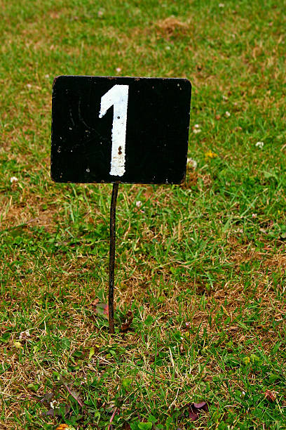 istock Metal Number One in Grass 537521030