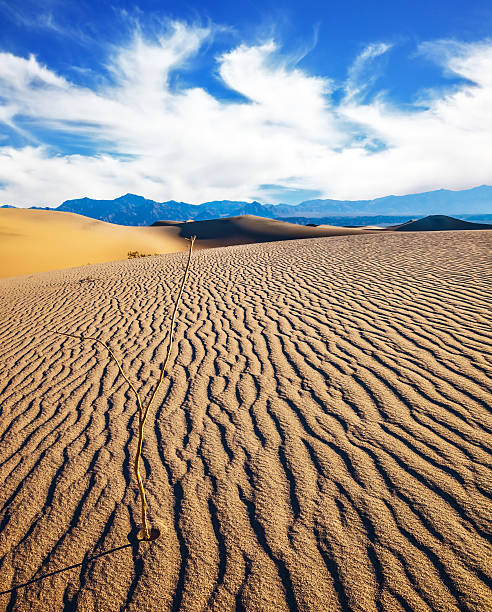 dunas planas de mesquite  - sand dune sand orange california fotografías e imágenes de stock