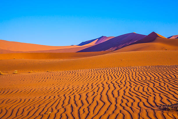 istock The dunes and sandy orange waves 537522558