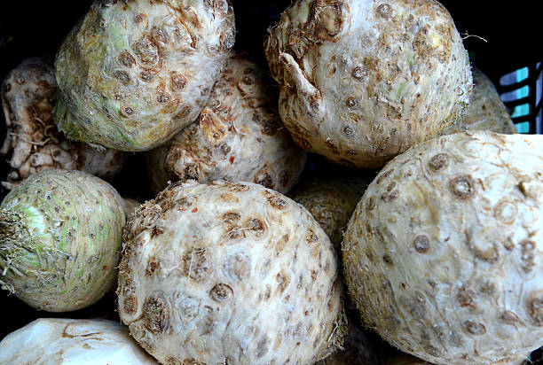 istock Organic celery root and leaves fresh from the farm 537525088