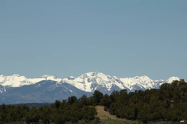 istock Evergreen covered foothill infront of snowcapped mountain 537526454