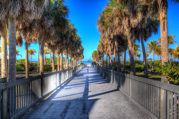 vista della spiaggia - fort myers foto e immagini stock