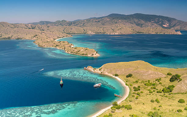 gili lawa darat no parque nacional komodo - labuanbajo - fotografias e filmes do acervo