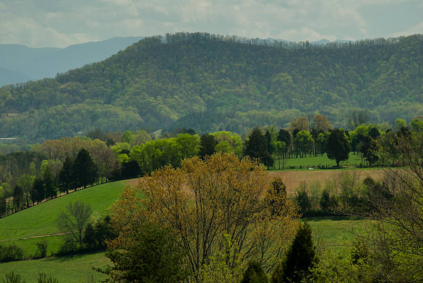 istock Spring, Countryside, East Tennessee 537527584