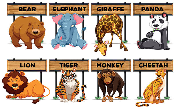 istock Many type of animals with wooden signs 537529974