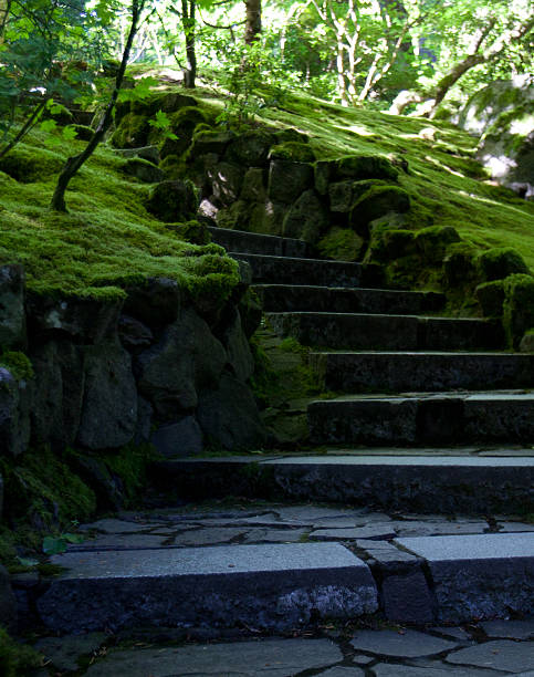 istock Stairs and Mossy Rocks 537531104