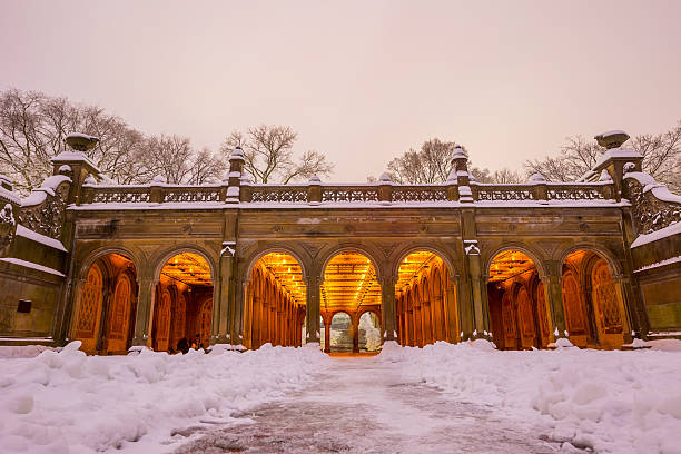 fuente bethesda en central park ciudad de nueva york, después de una tormenta de nieve - nemo museum fotografías e imágenes de stock